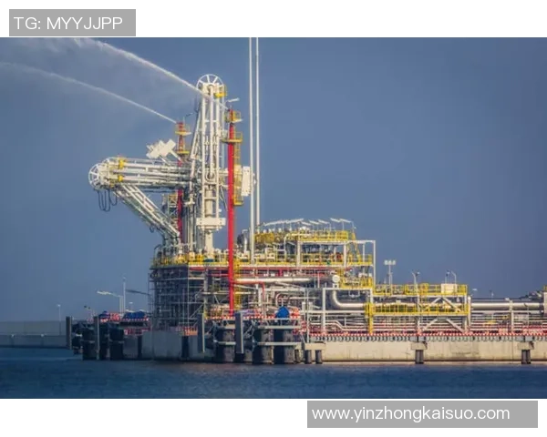 数据分析:LNG的团队协作表现 数据分析:LNG的团队协作表现