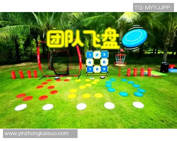 2026飞盘状态排行榜：深圳飞盘队位居第3名